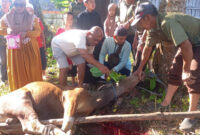 Proses penyembelihan hewan qurban di Desa Dirgahayu. 