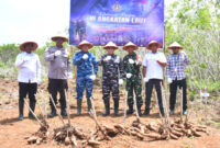 Komandan Lanal Kotabaru Letkol Laut (P) M. Harun Al Rasyid, S.T., M.Tr.Opsla. bersama kelompok petani binaan usai melaksanakan Panen Raya Program Ketahanan Pangan TNI AL Tahun 2025 di Desa Sebelimbingan. (Foto:Pen Lanal Ktb/Klikindonesia) 