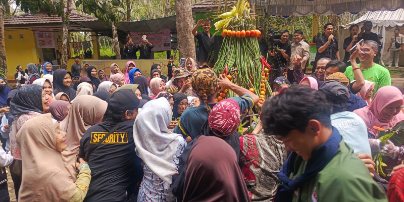 Pengunjung menyaksikan rebutan hasil bumi pada puncak MP2AF 2025.