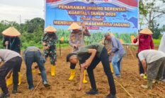 Polres Kotabaru Gelar Penanaman Jagung Serentak Kuartal I 2026 Dukung Swasembada Pangan